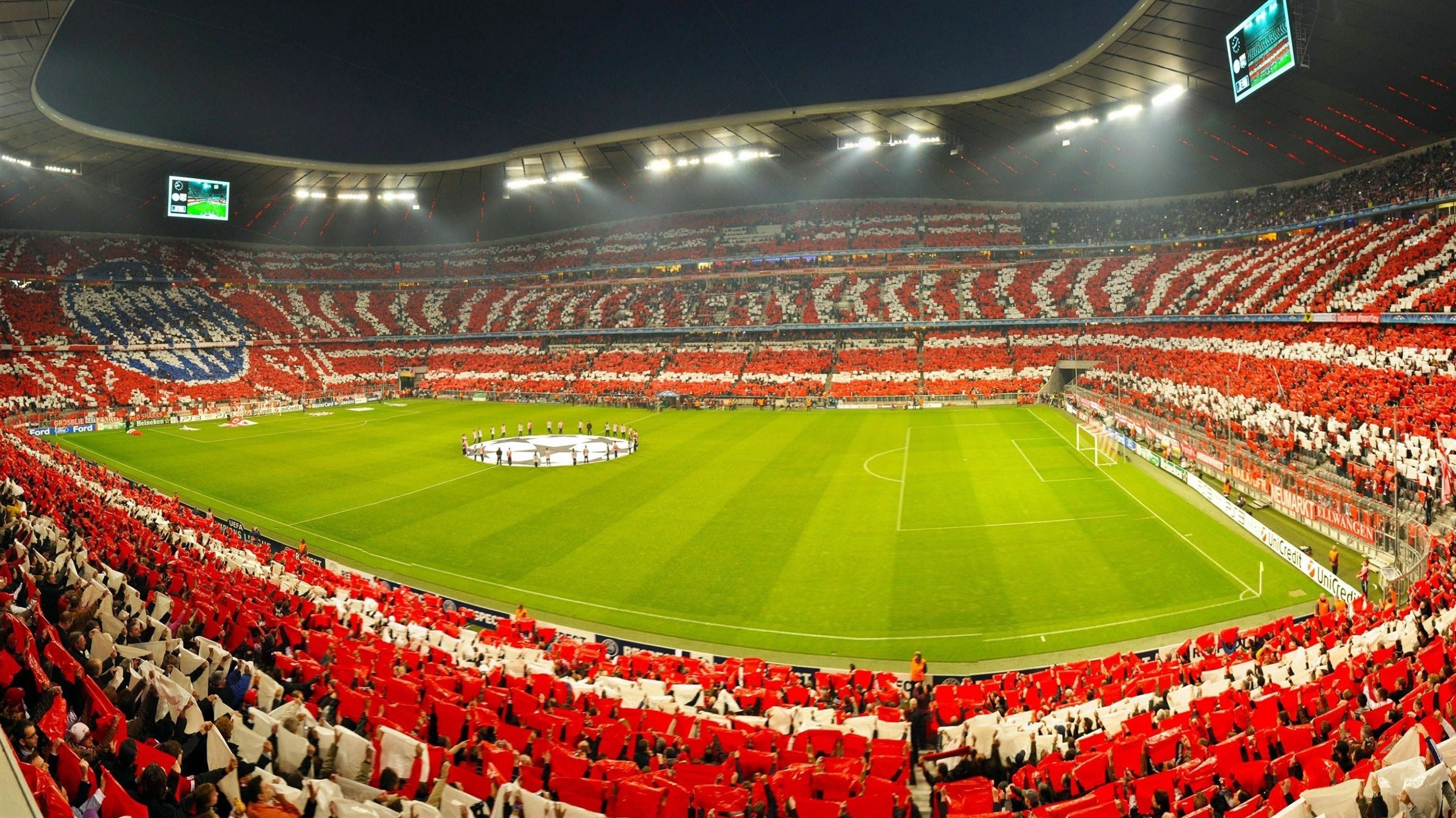 全民脚步行动：用脚步丈量城市心跳