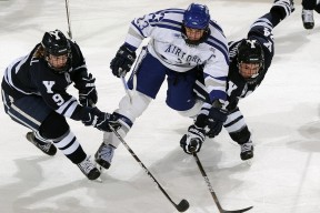 韩国可持续发展战略获联合国点赞，韩国可持续发展三大战略