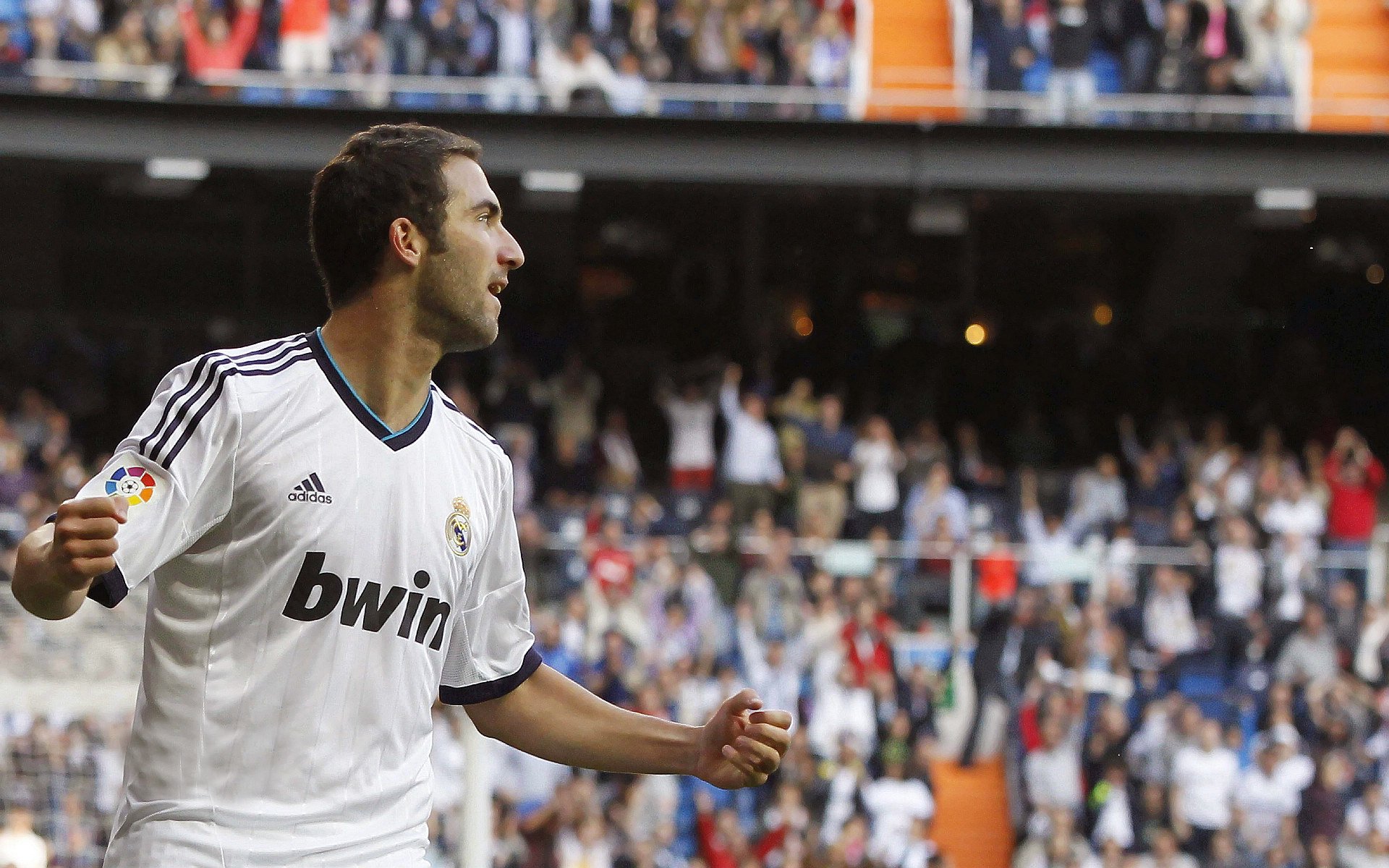 _掘金队攻守兼备，展现强大实力_，掘金队的简介